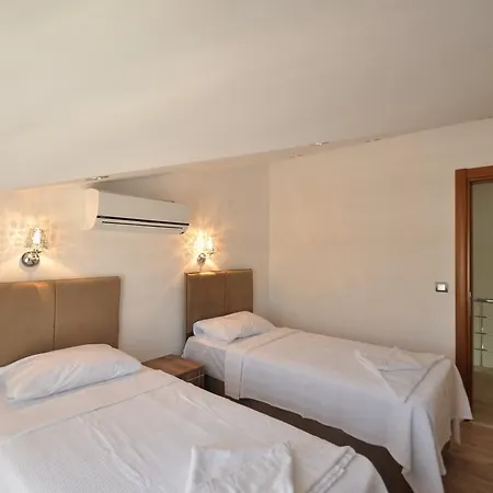 Vista 1